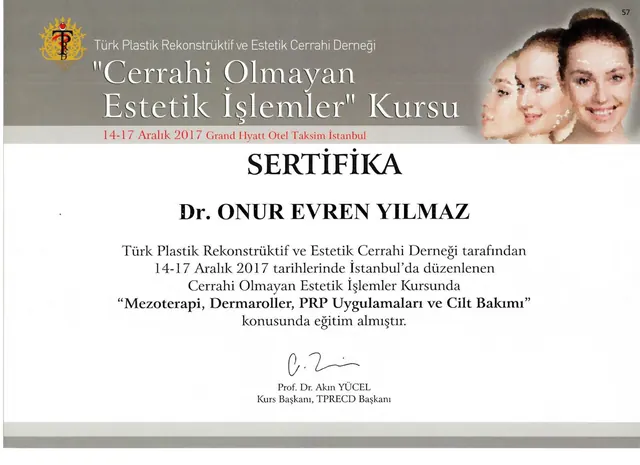 certificado de mesoterapia, dermaroller e PRP, cirurgião plástico Izmir