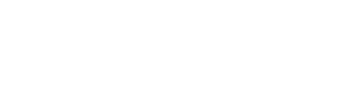 Turkish Airlines